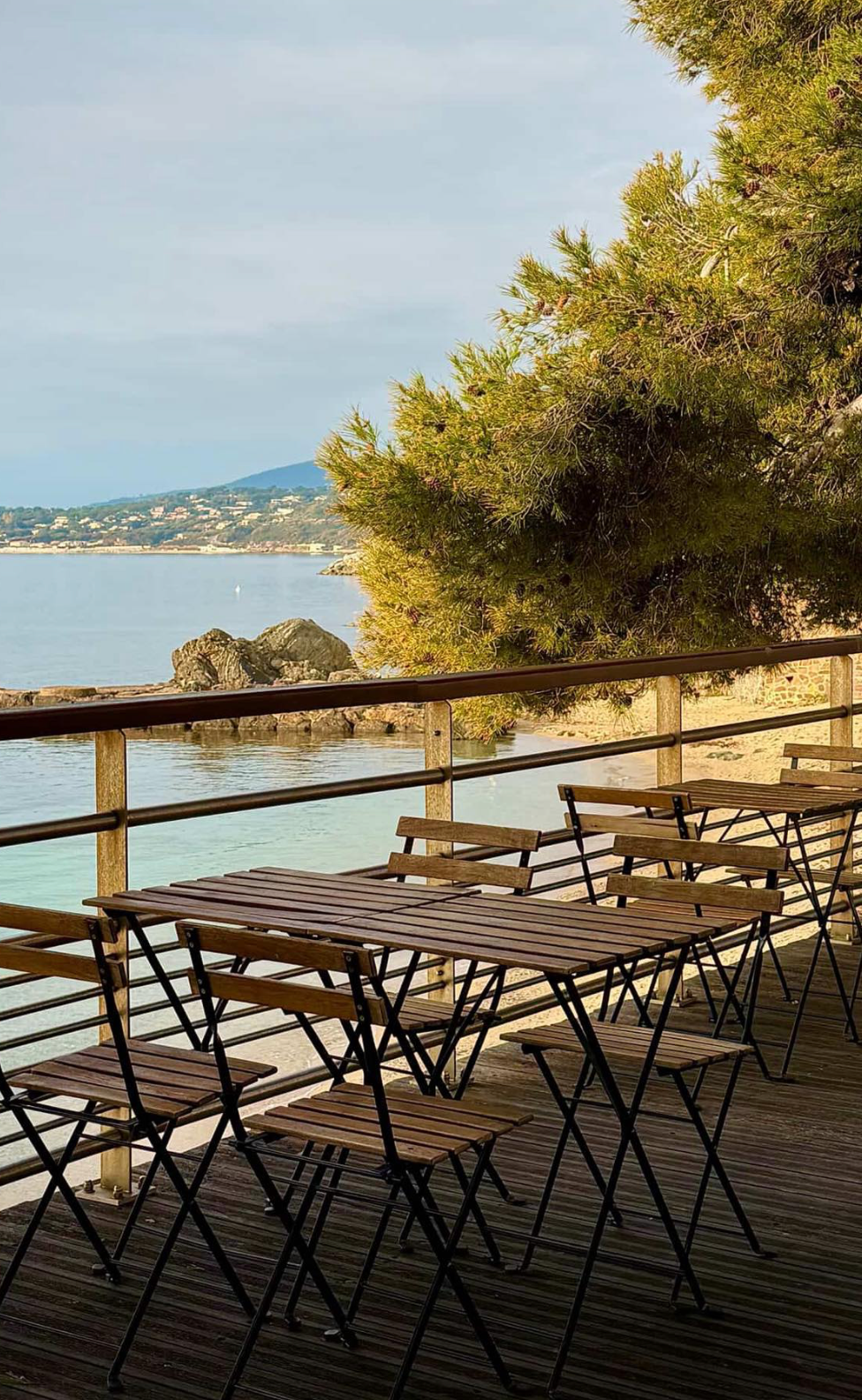 Pâtisseries fines en vitrine réfrigérée